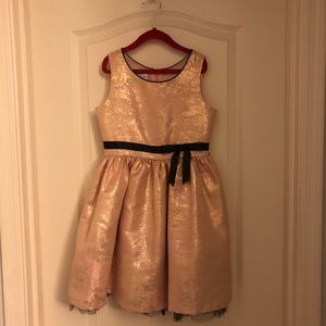 Fancy Metallic Shiny Dress